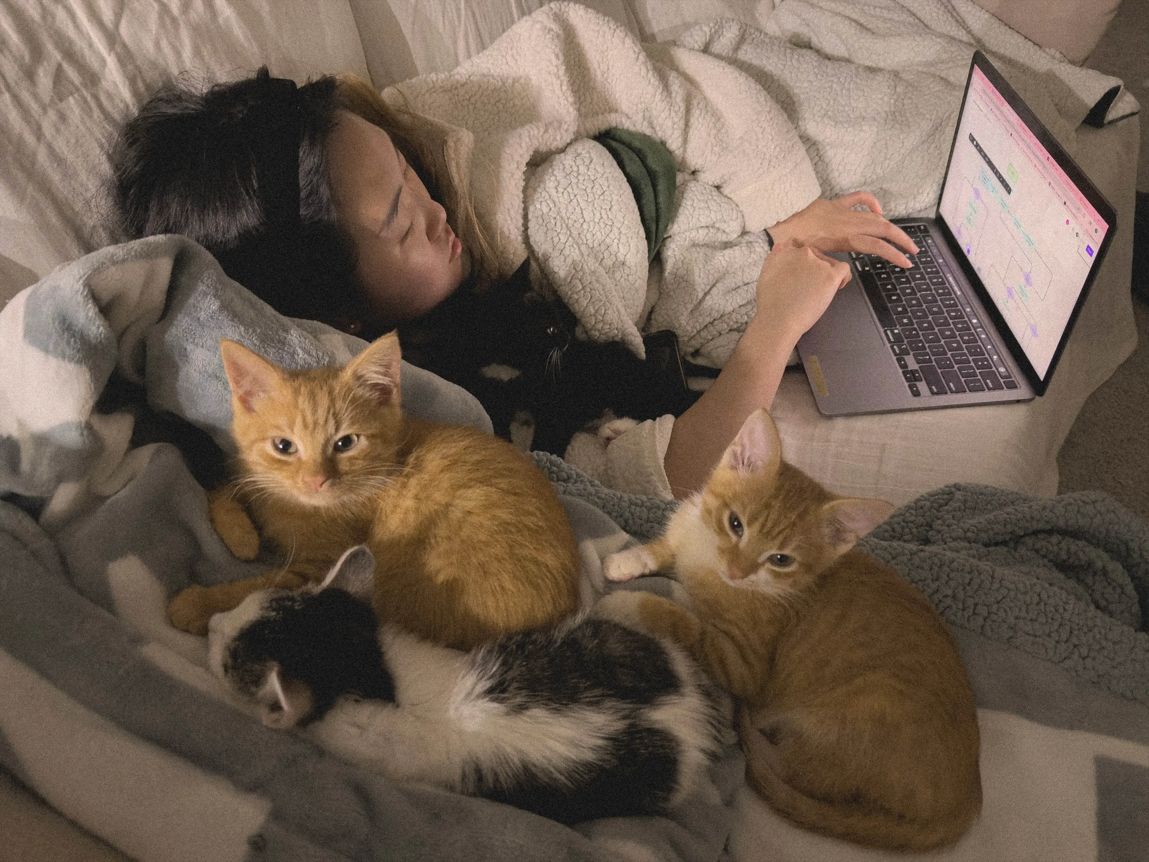 Picture of Sumin with four cats on the couch. She is looking at her Macbook, where she is doing a user flow diagram in Figma.
